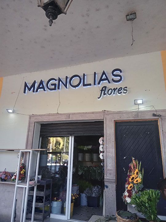 GRÁFICA SIETE