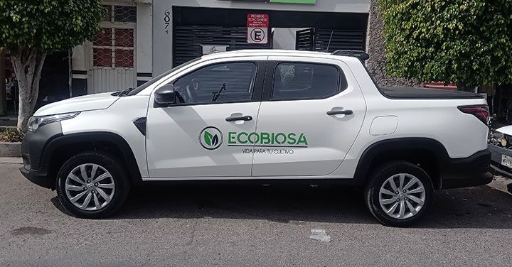 GRÁFICA SIETE