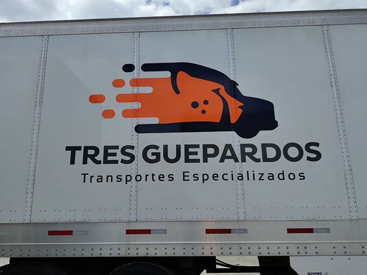 GRÁFICA SIETE