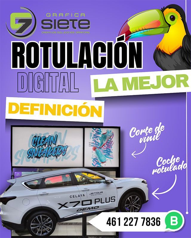 GRÁFICA SIETE