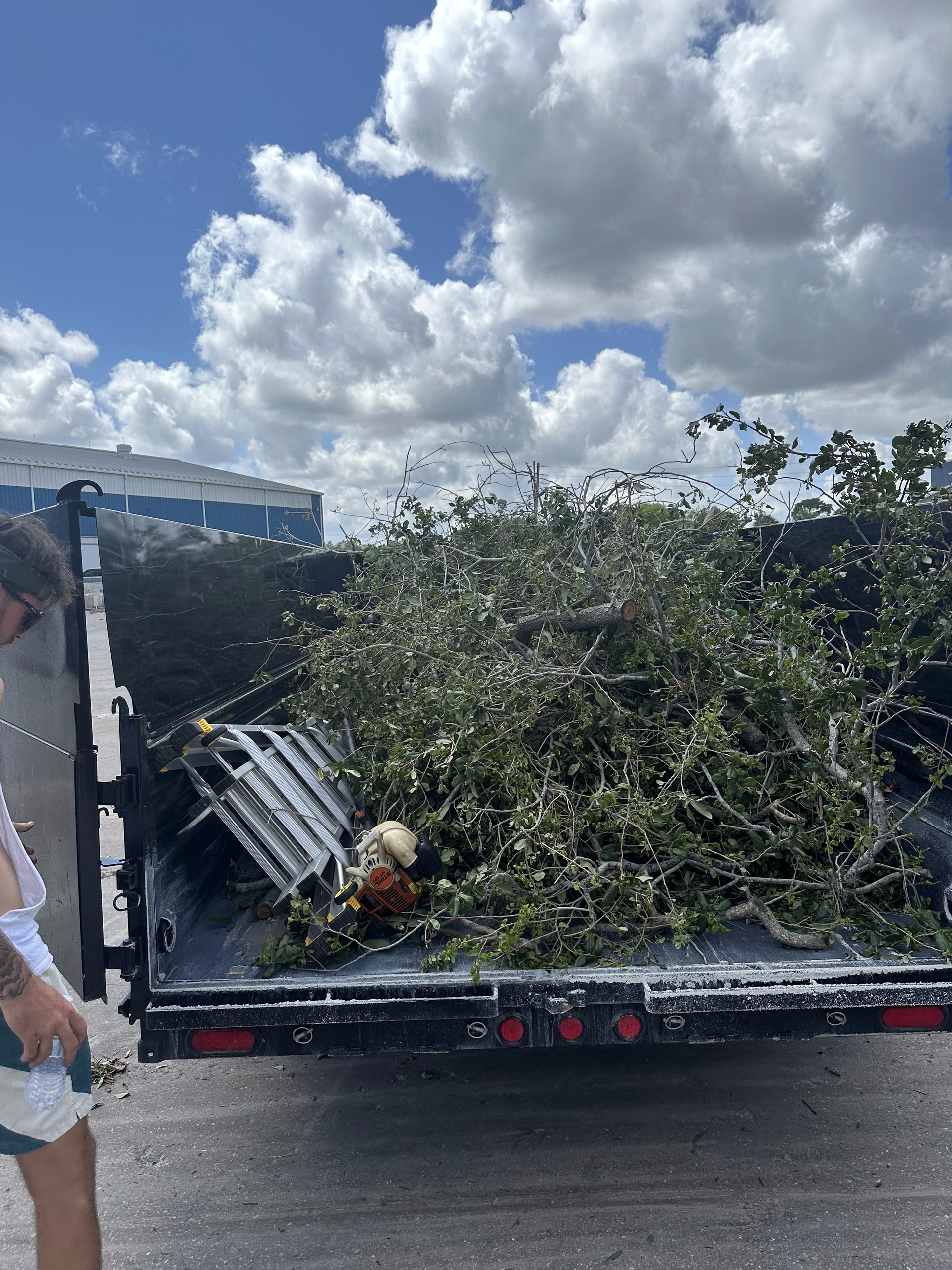 A man is standing in front of a dumpster filled with branches.