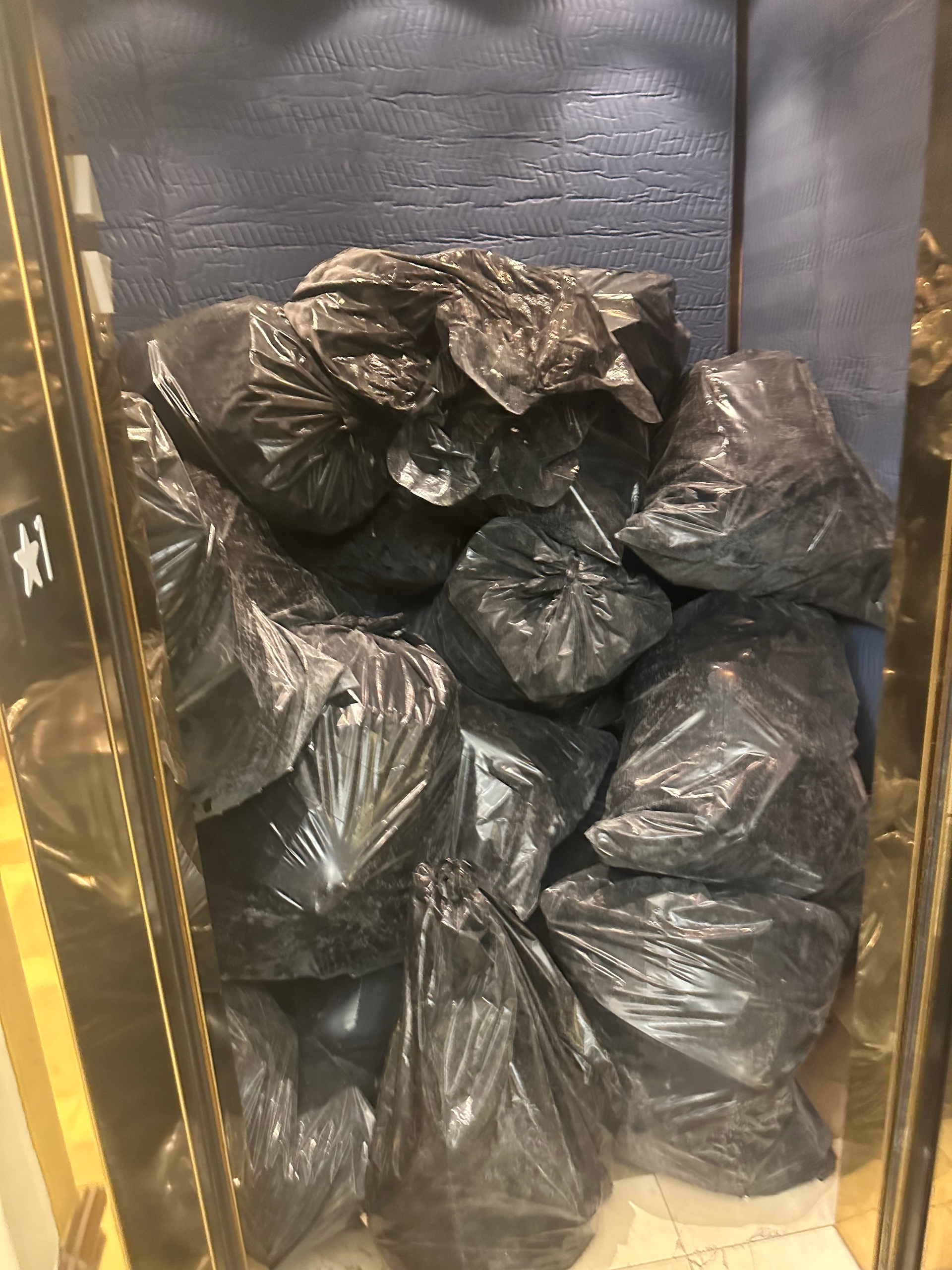 An image of a trash removal