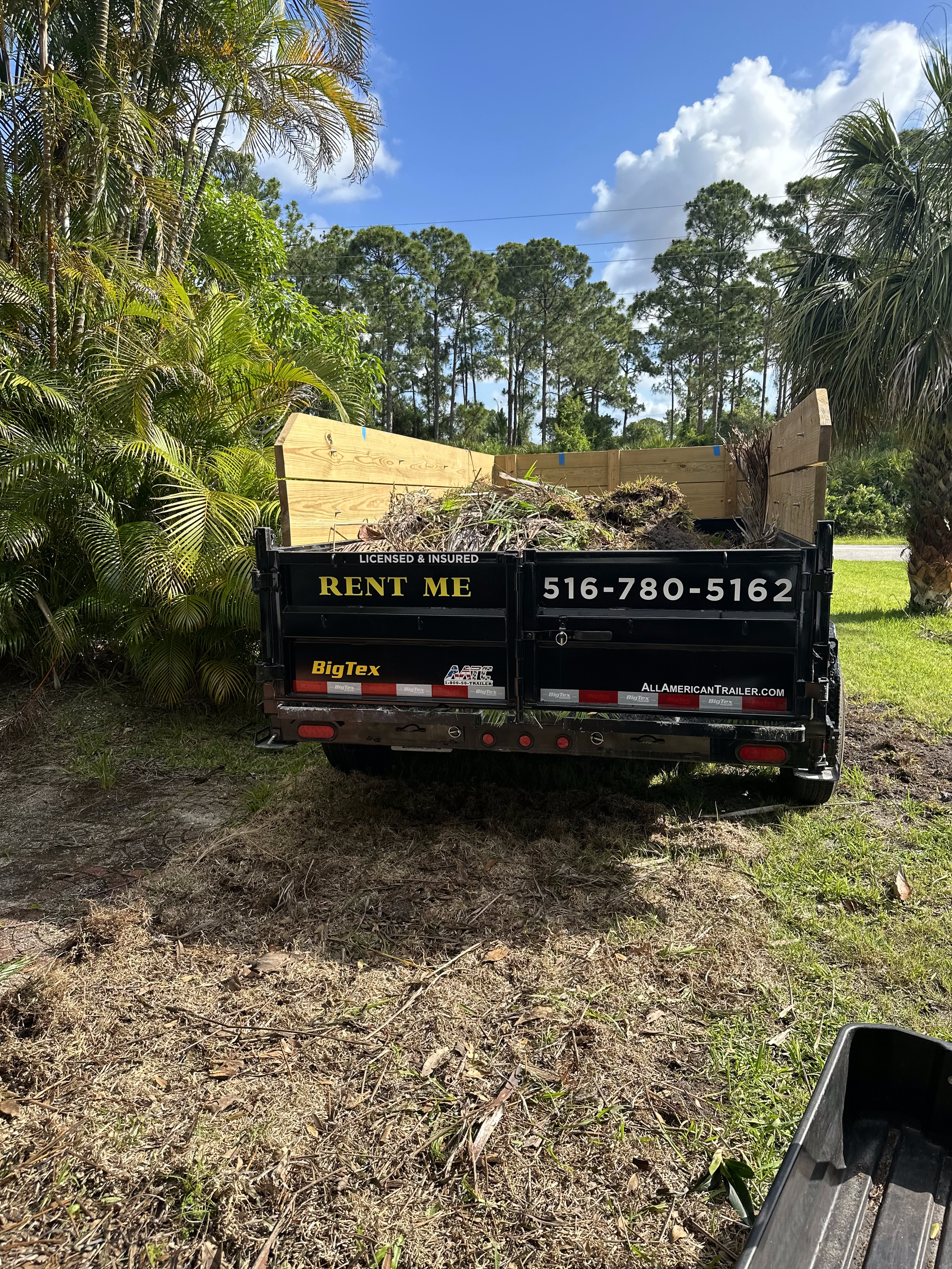 A dumpster is sitting in the grass next to a tree.