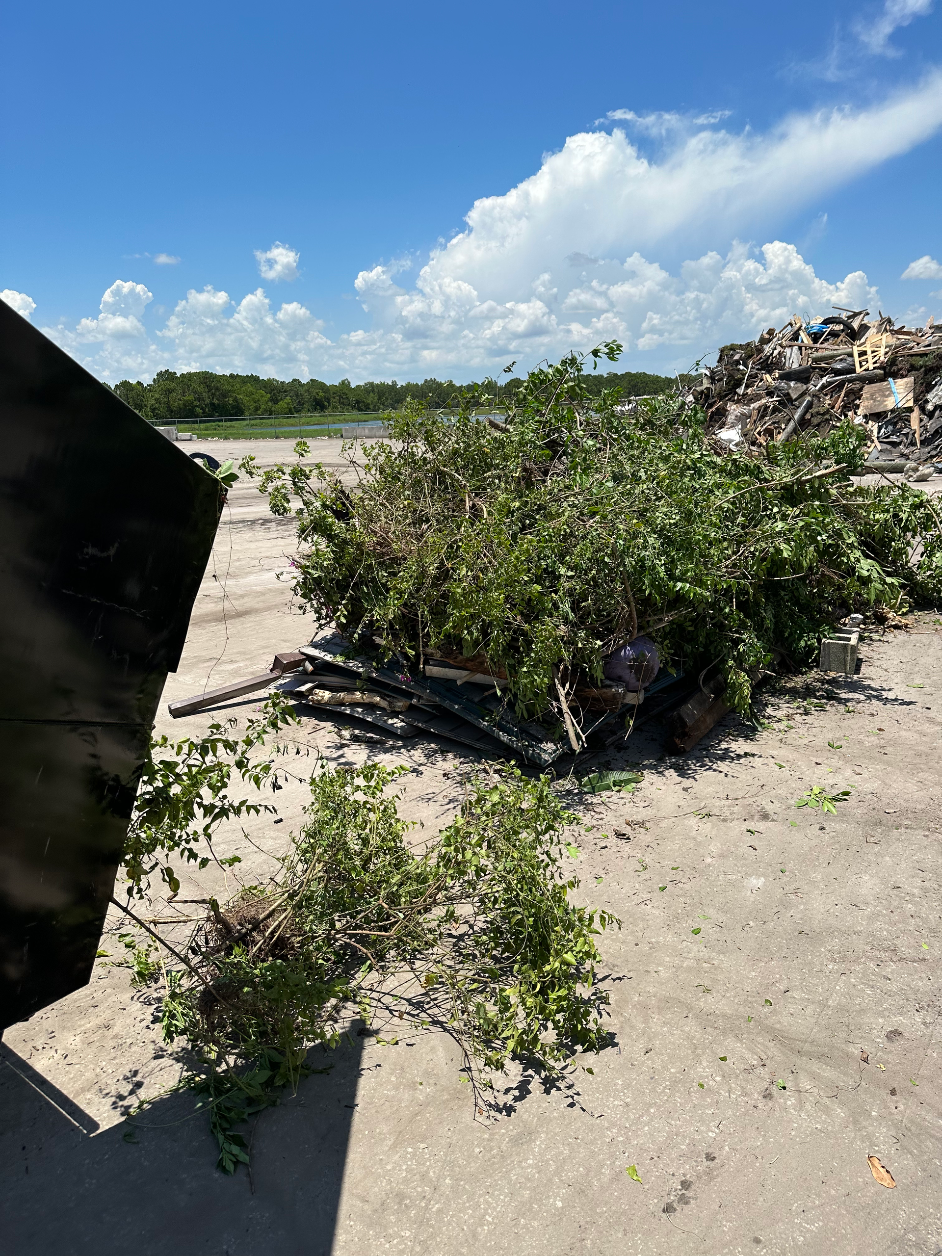 removal of junks