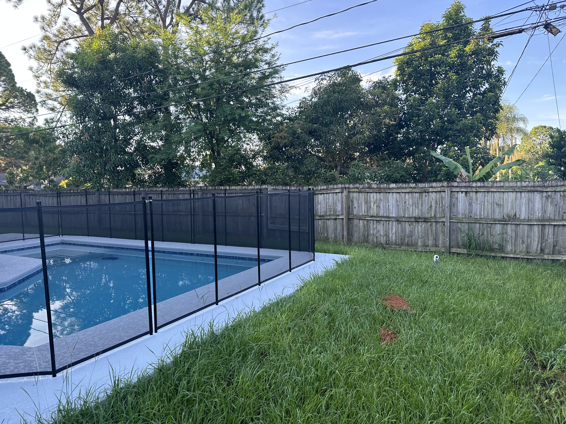 A fence surrounds a swimming pool in a backyard.