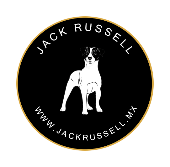jack russell en venta logo