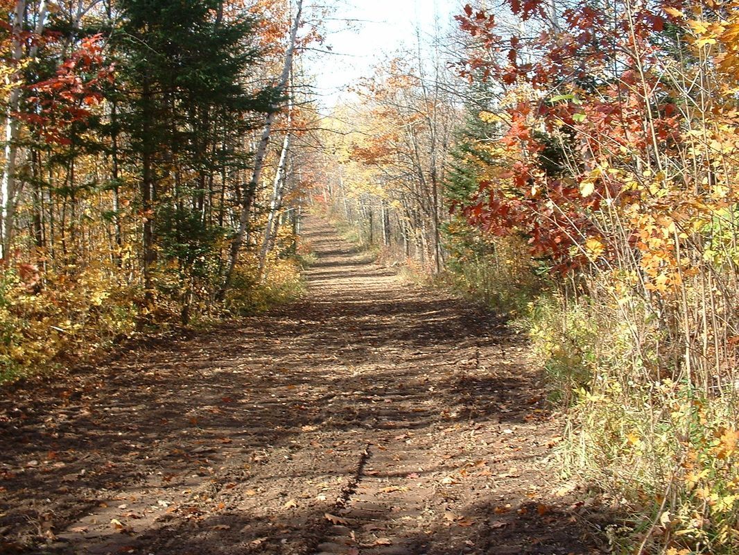 10-8-2010 Trail to the dredging site has been repaired and seeded.