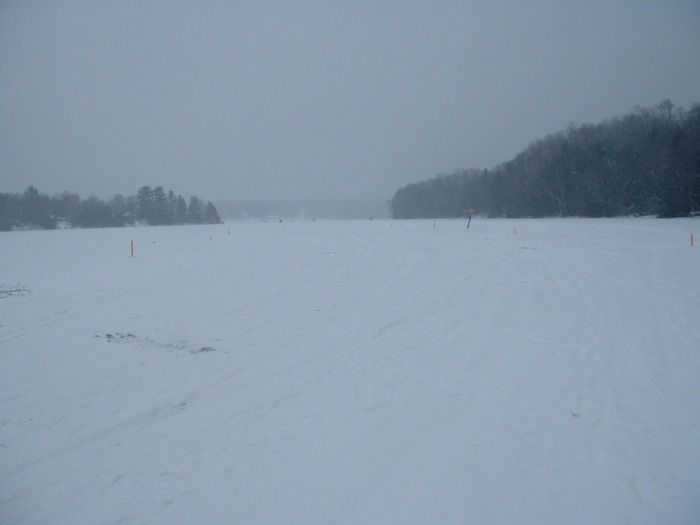 2-2-2010 survey stakes installed to use for measuring sediment removal