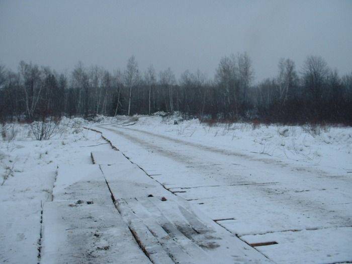 2-2-2010 temporary road accross marsh looking toward snowmobile trail