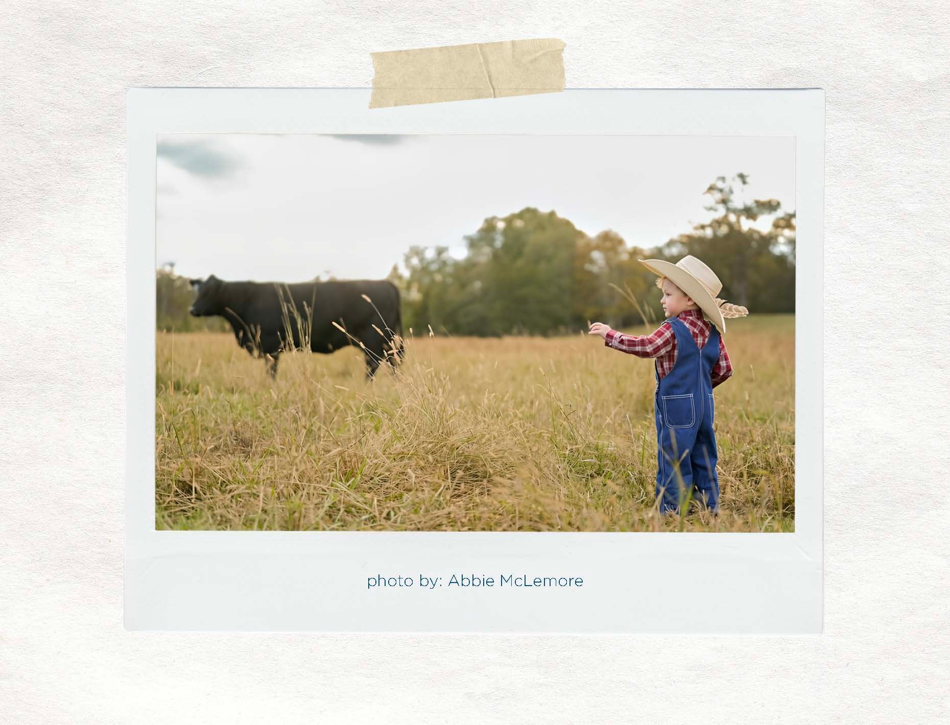 Child in cowboy hat pointing at black cows in a grassy field at sunset