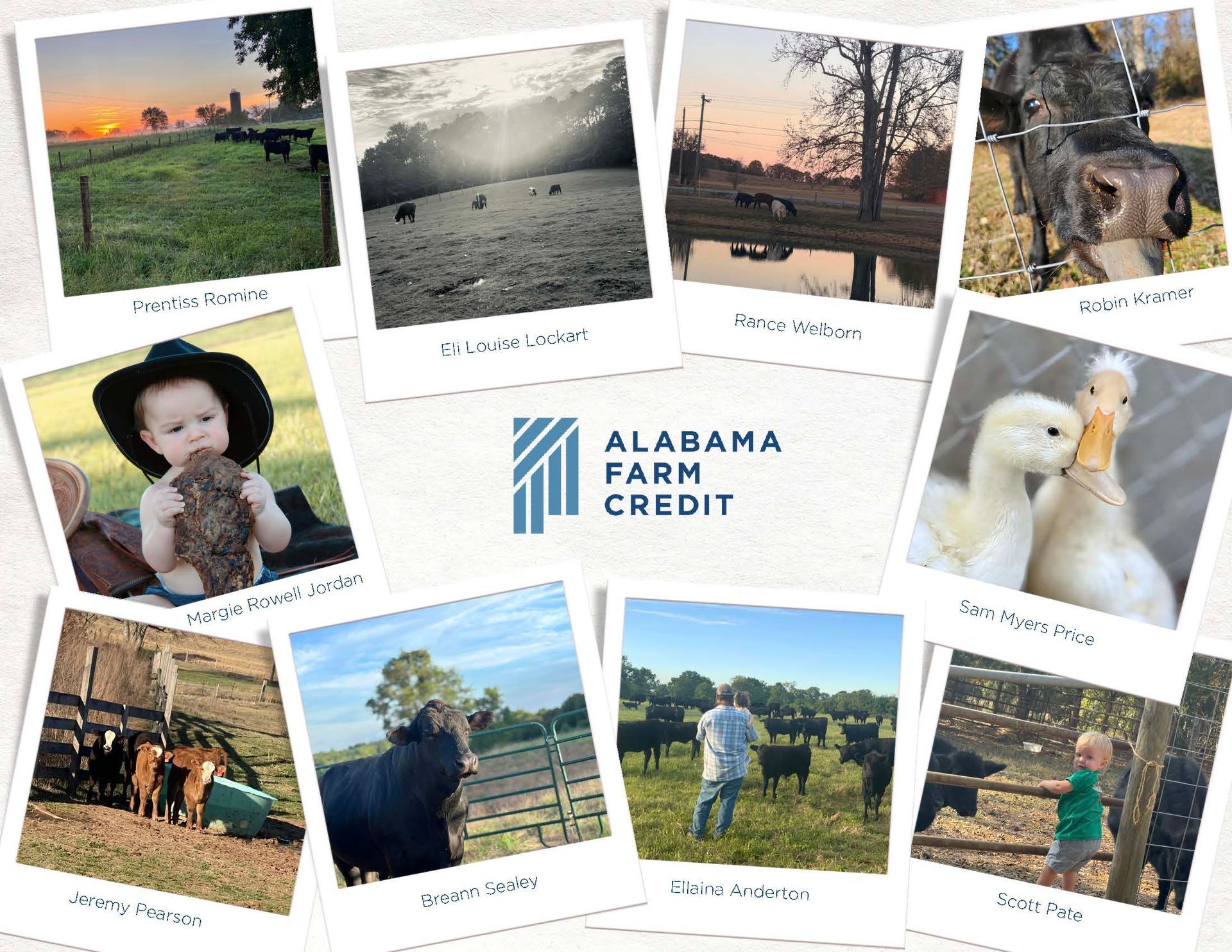 Collage of farm photos around the Alabama Farm Credit logo on a white background