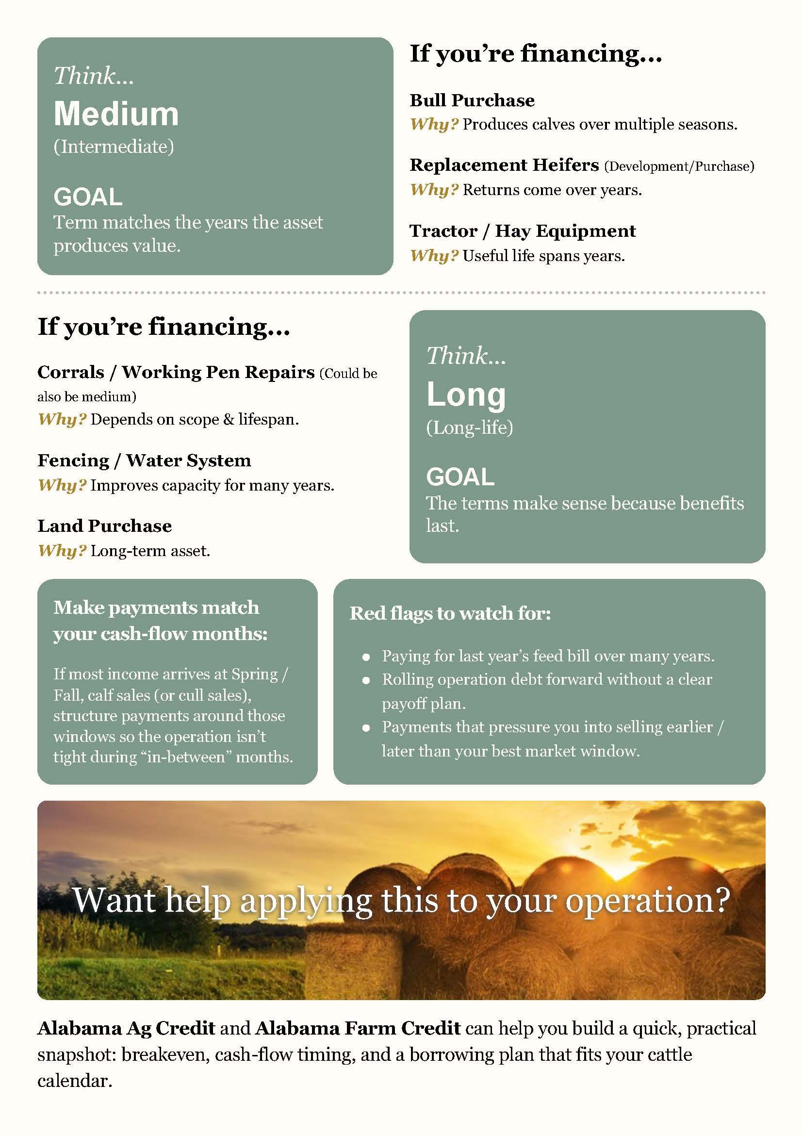 Infographic with green text boxes and a sunset photo, titled about finding your flow state.