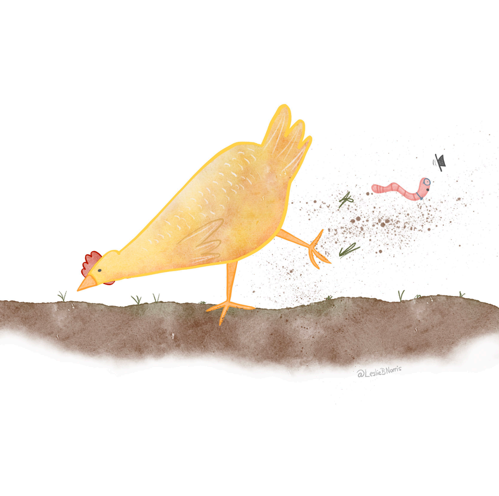Yellow chicken scratching in the dirt, chasing a worm.