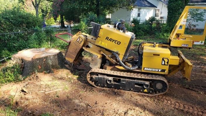 A yellow Rayco stump grinder on tracks positioned to grind a large tree stump in a yard.
