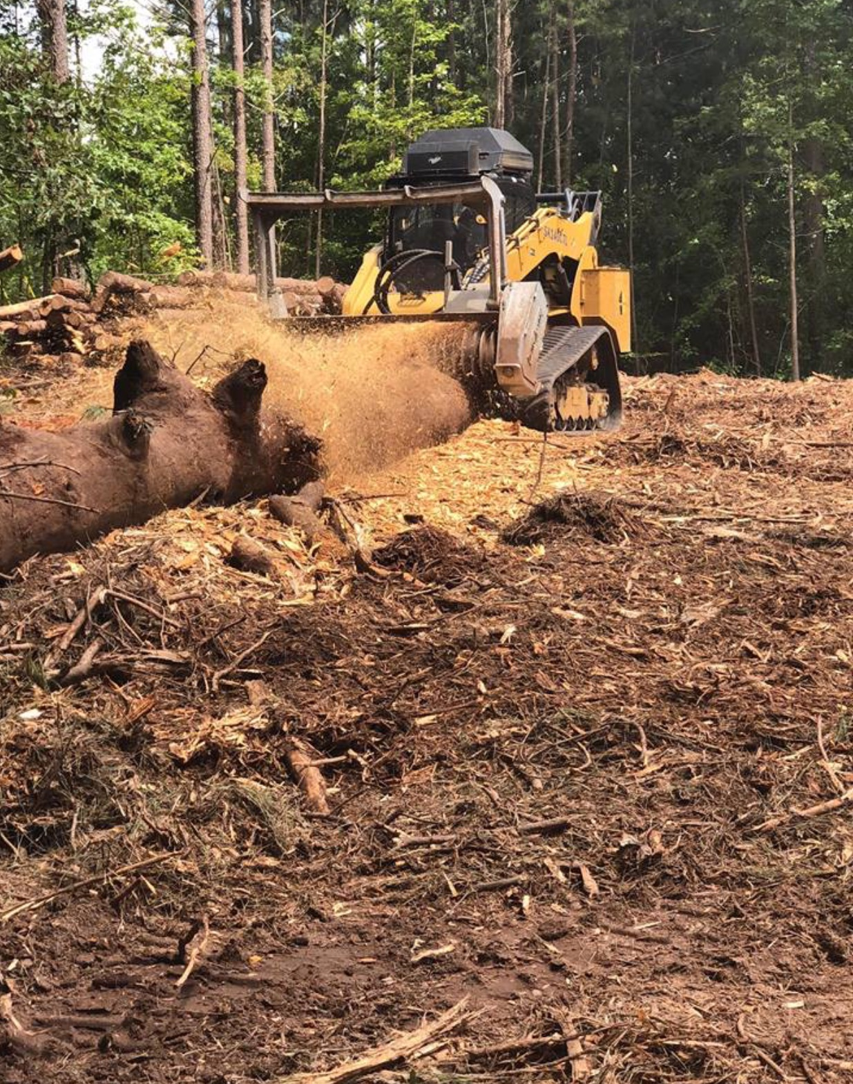 A yellow tracked skid steer with a forestry mulcher attachment grinds a large fallen tree into wood chips in a forest.