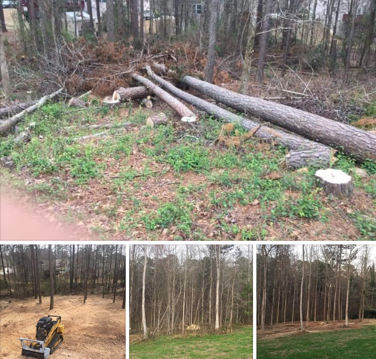 A collage showing the process of clearing a wooded area, featuring felled pine trees, heavy machinery, and a lawn.