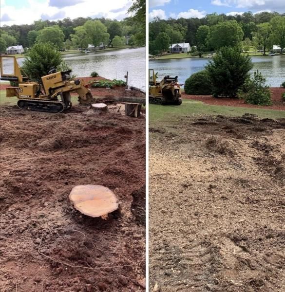 Split-view of a stump grinder removing tree stumps in a yard overlooking a lake.