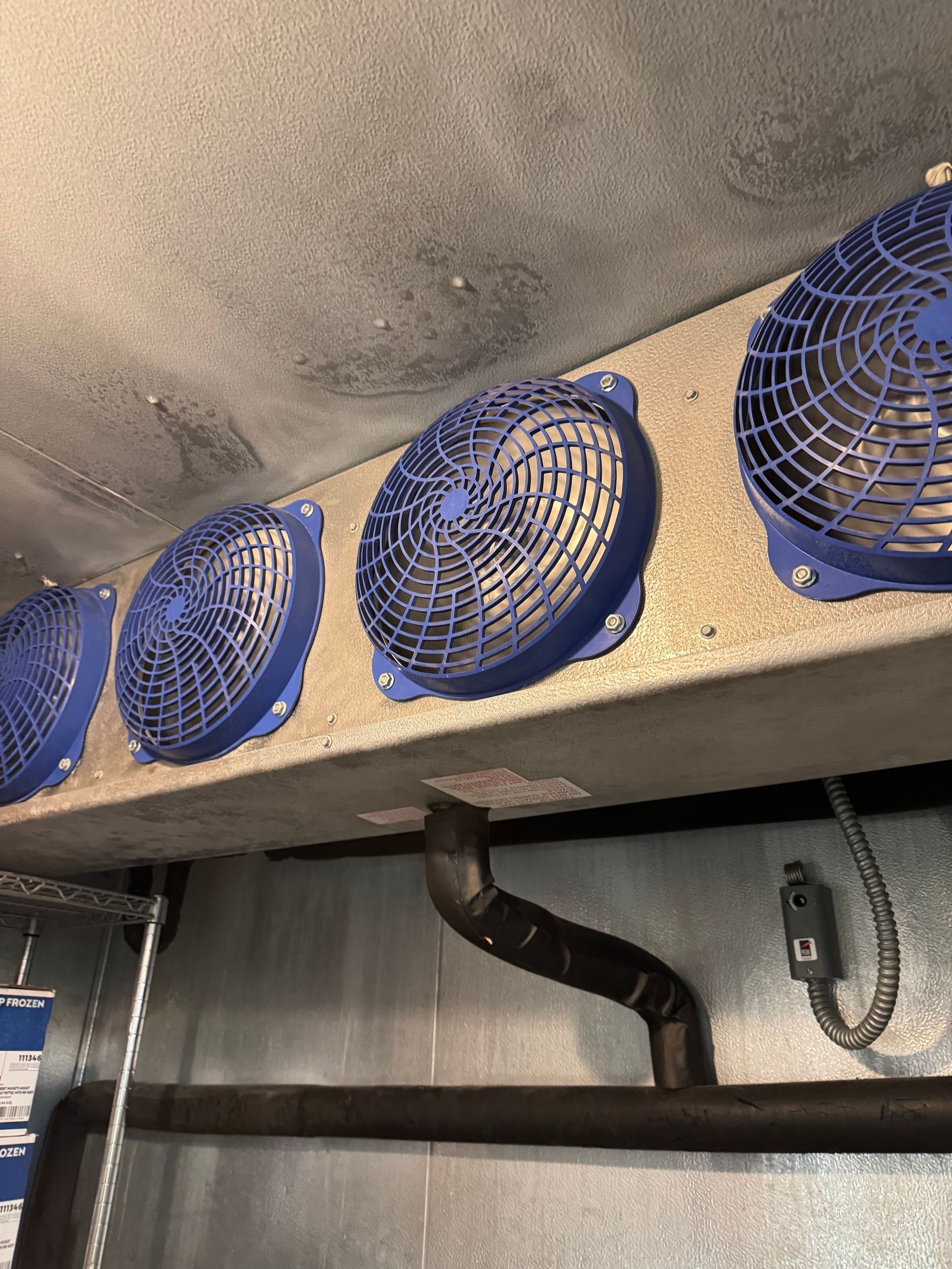 Blue industrial fans mounted under a dusty ceiling in a utility space.