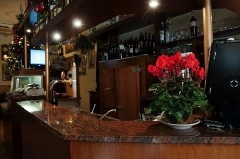 Bancone del bar scarsamente illuminato, in legno lucido, bottiglie sugli scaffali e un vaso di fiori rosso acceso.