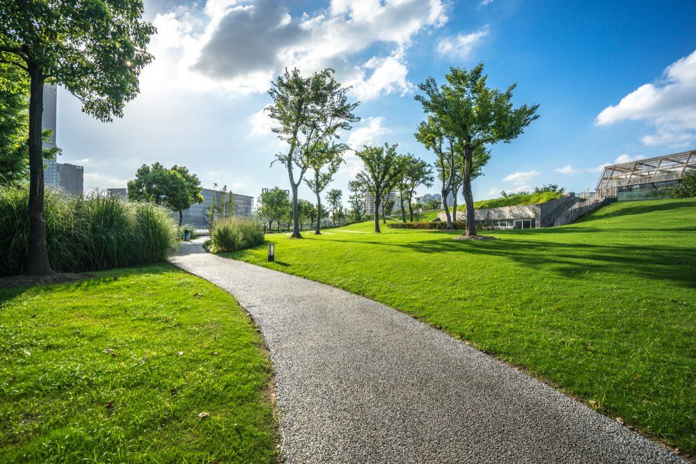 A Path in A Park with Trees and Grass on A Sunny Day — All Round Ground Maintenance in Sawtell, NSW