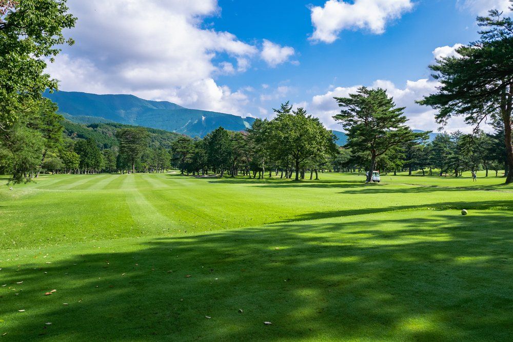 A Golf Course with Trees and Mountains in The Background on A Sunny Day — All Round Ground Maintenance in Sawtell, NSW