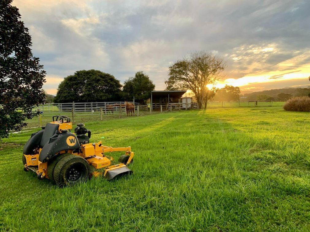 Lawn — All Round Ground Maintenance in Woolgoolga, NSW