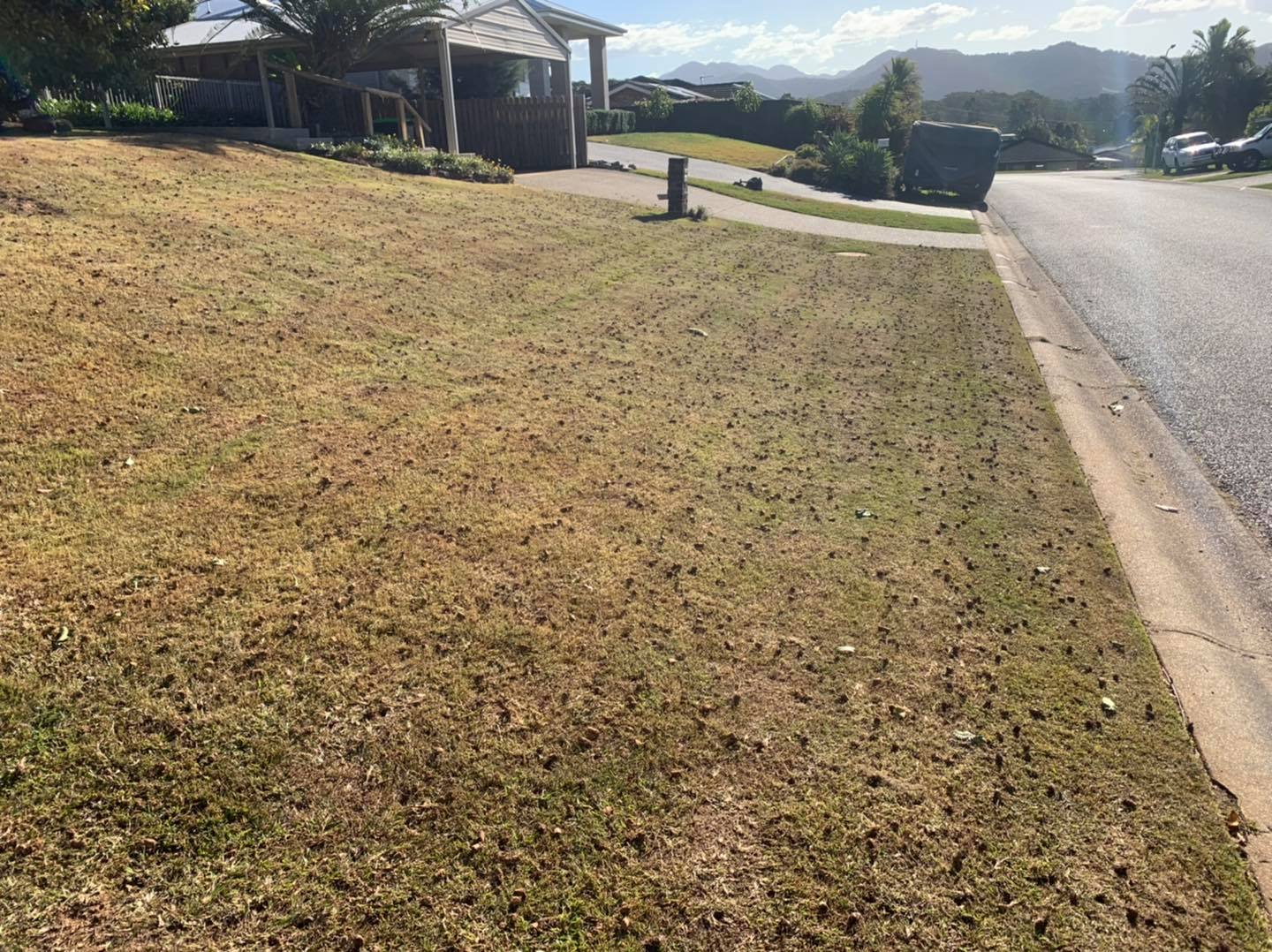 There Is a Lot of Grass on The Side of The Road — All Round Ground Maintenance in Sawtell, NSW