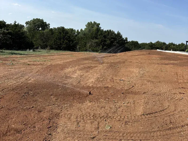 Dirt clearing beside a tree line under a blue sky, with a white road edge on the right