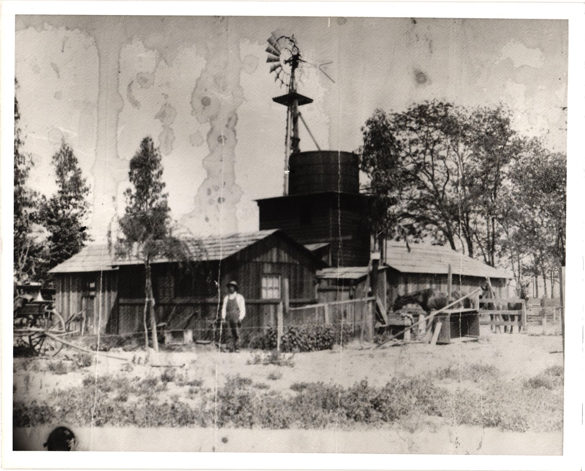 Nawa Farm