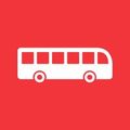 Buses Buses
