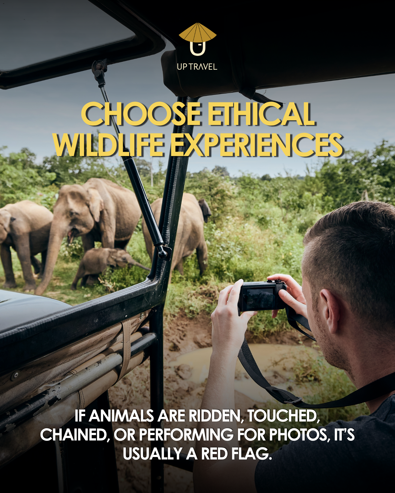 Choose ethical wildlife experiences