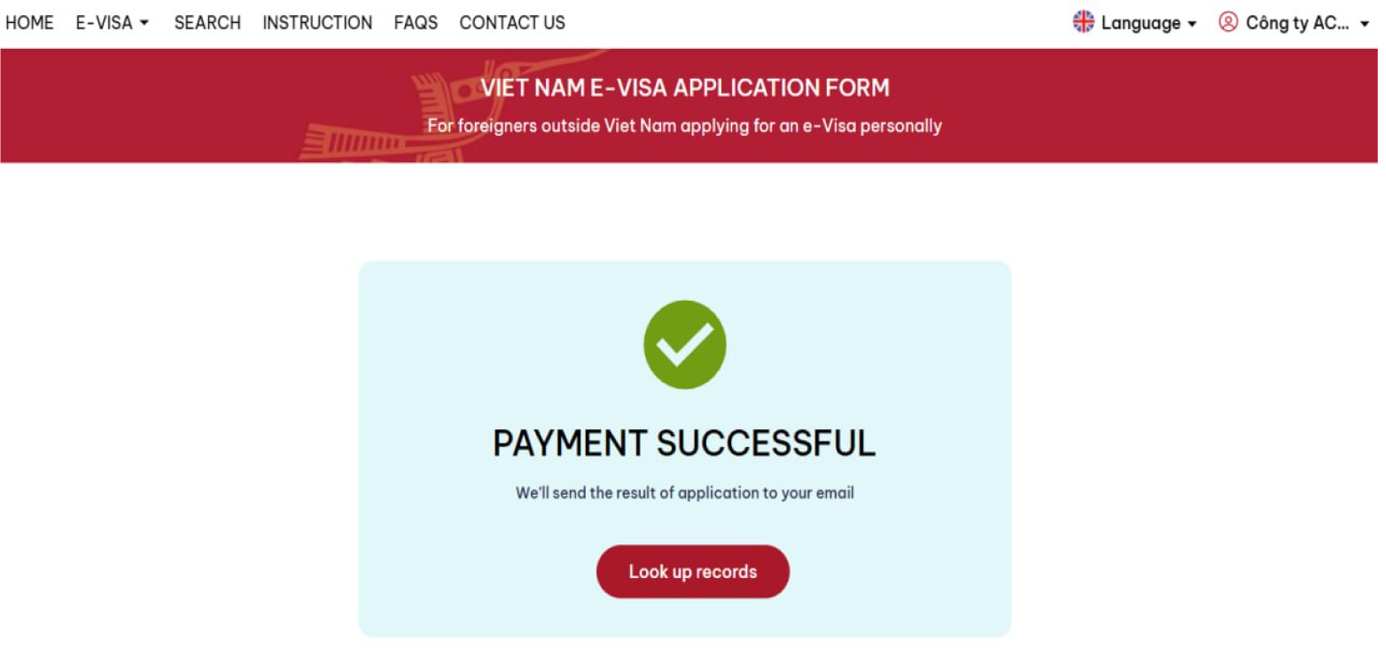 successful evisa payment