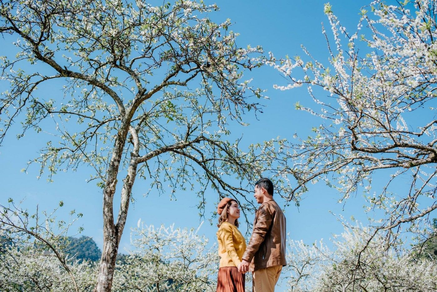 A couple under blooming apricot trees in Sapa, a dreamy destination for romantic getaways in Vietnam.
