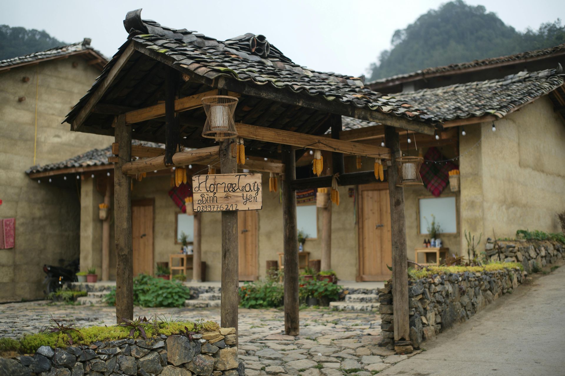 A cozy rural homestay surrounded by lush greenery and peaceful farmland in Vietnam.