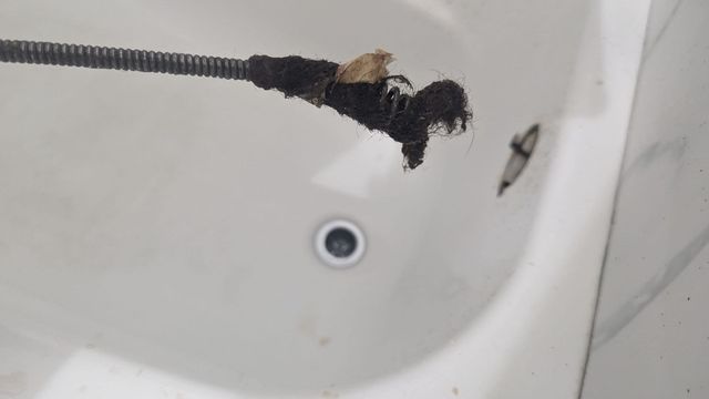 Drain snake with clump of hair and debris pulled from bathtub drain.