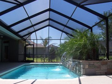 Screened-in backyard pool with blue water and tropical plants under a glass roof