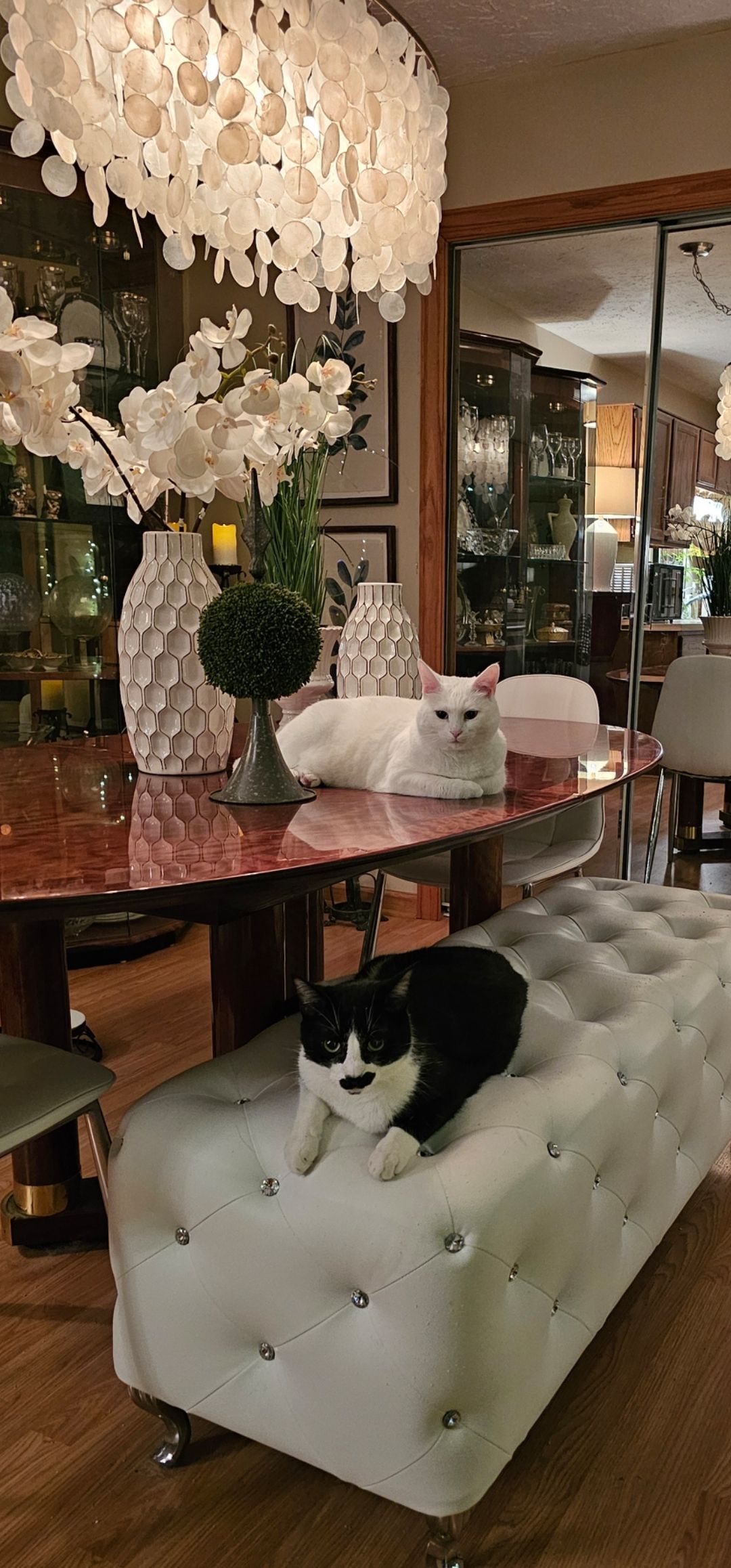 Two cats are sitting on a white ottoman in a living room.