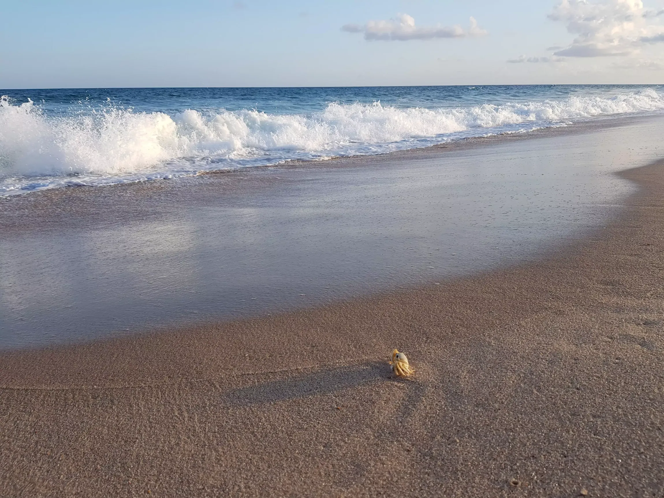 Uma praia de areia com ondas quebrando na costa-Pousada-Águas-de-Piruí