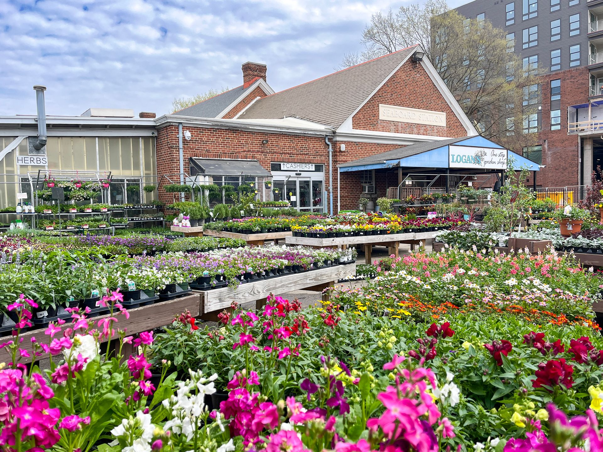 THE FUTURE OF LOGAN'S — Logan's Garden Shop