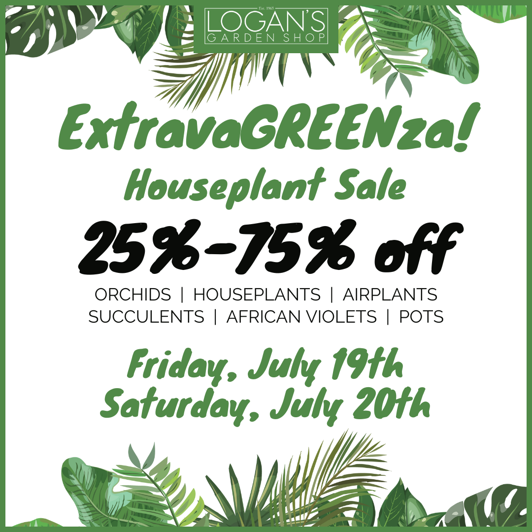 Logan's Garden Shop Garden Center & Plant Nursery Raleigh, NC