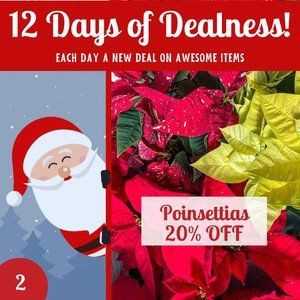 12 Days Of Dealness-2023 2