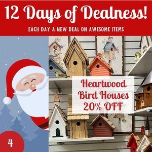 12 Days Of Dealness-2023 4