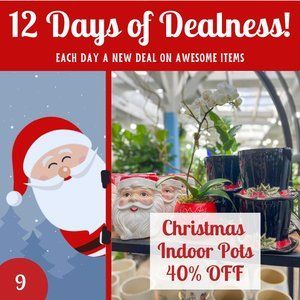 12 Days Of Dealness-2023 9