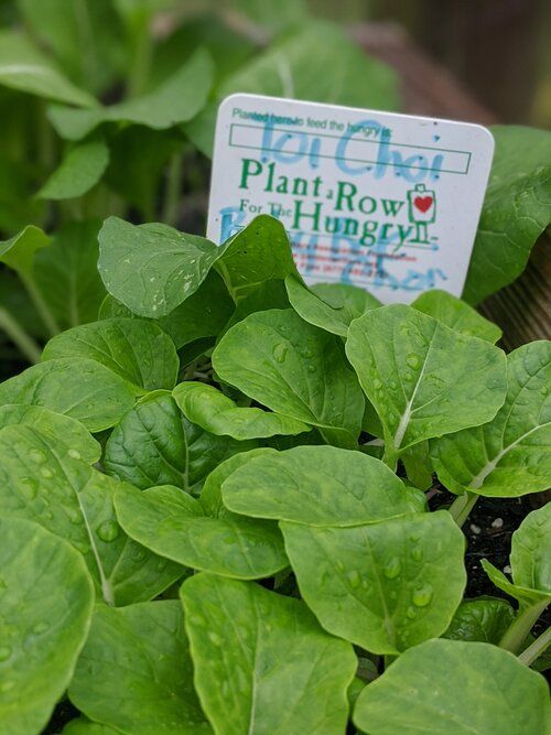 Plant A Row Sign Marking