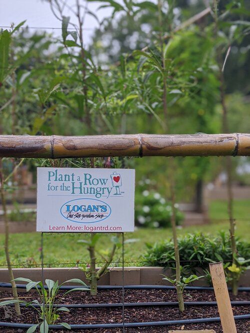 Logan's Garden Shop 3