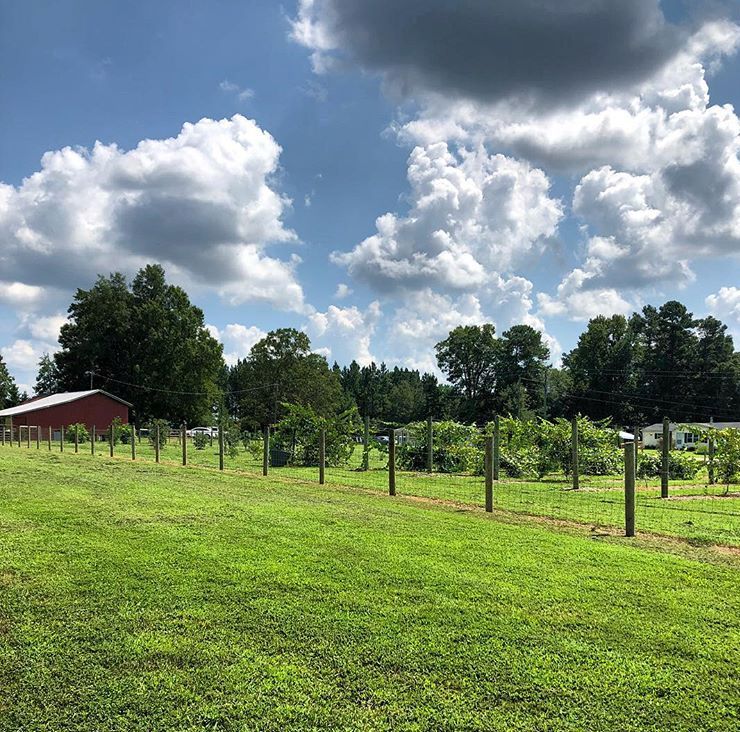 Pilot Farm