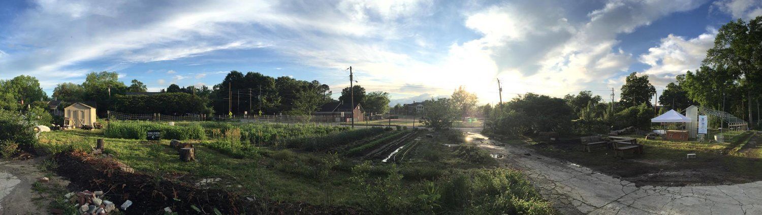 Raleigh City Farm