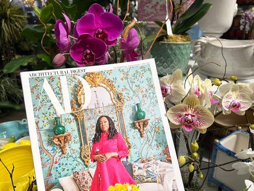 Need a Custom Orchid or Houseplant Arrangement?