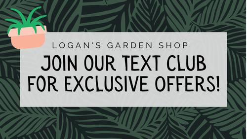 Join our Text Club!