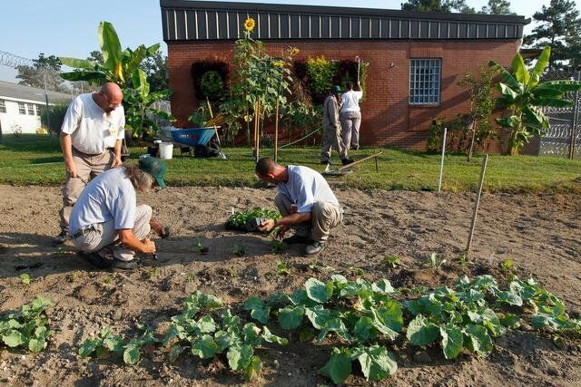 Johnston Correctional Institution Community Garden